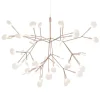 New Heracleum Small Hanglamp Hanglampen