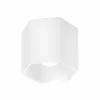 Hexo 1.0 Plafondlamp Opbouwspots|Plafondspots