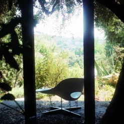 New La Chaise Loungechair Loungestoelen