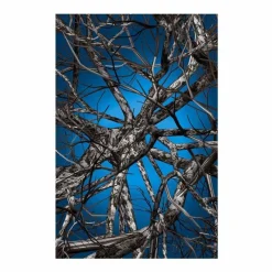 Liquid Birch Vloerkleed Vloerkleden