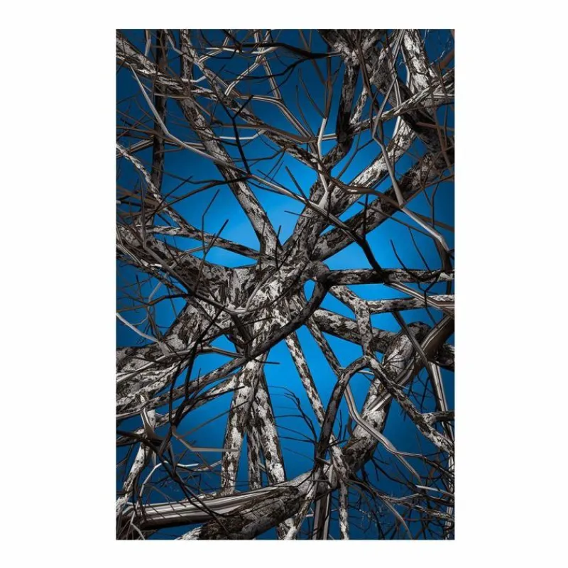 Liquid Birch Vloerkleed Vloerkleden