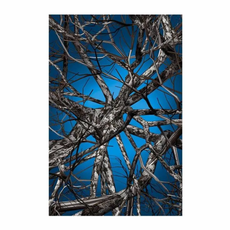 Liquid Birch Vloerkleed Vloerkleden