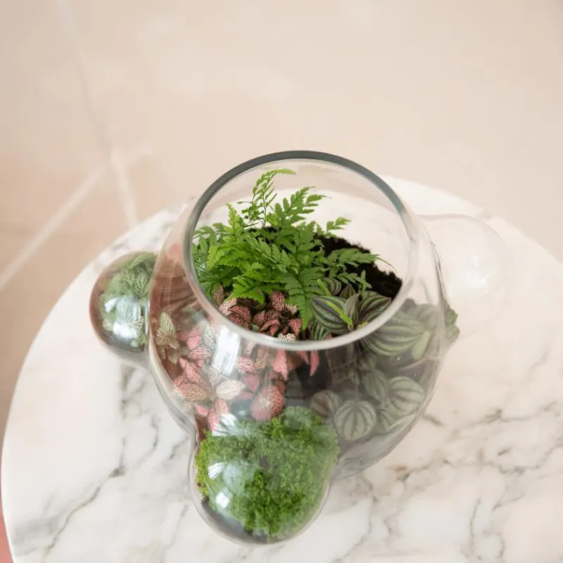 Outlet Local Habitat Terrarium Vaas Vazen
