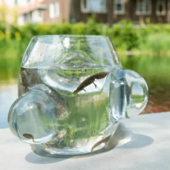 Outlet Local Habitat Terrarium Vaas Vazen
