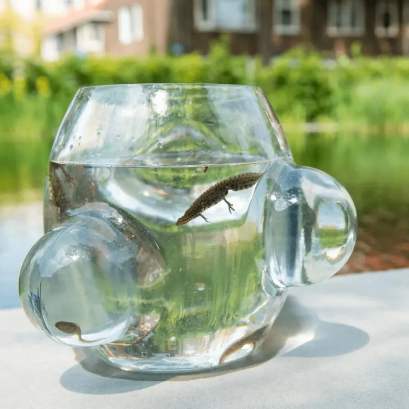 Outlet Local Habitat Terrarium Vaas Vazen
