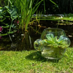 Outlet Local Habitat Terrarium Vaas Vazen