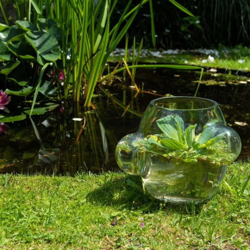 Outlet Local Habitat Terrarium Vaas Vazen