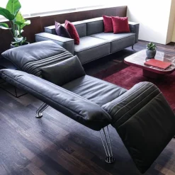 Lounger DS-142 Fauteuil Fauteuils