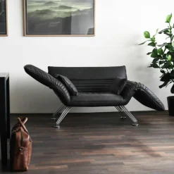 Lounger DS-142 Fauteuil Fauteuils