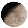 New Luna Vloer- en Wandkleed Wandkleden
