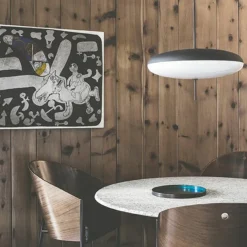 Sale Model 2065 Hanglamp Hanglampen