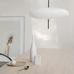 Sale Model 2065 Hanglamp Hanglampen