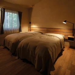 New NJP Wandlamp Lange Arm Wandlampen