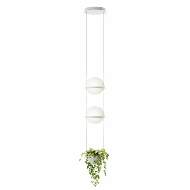 Online Palma Hanglamp Hanglampen