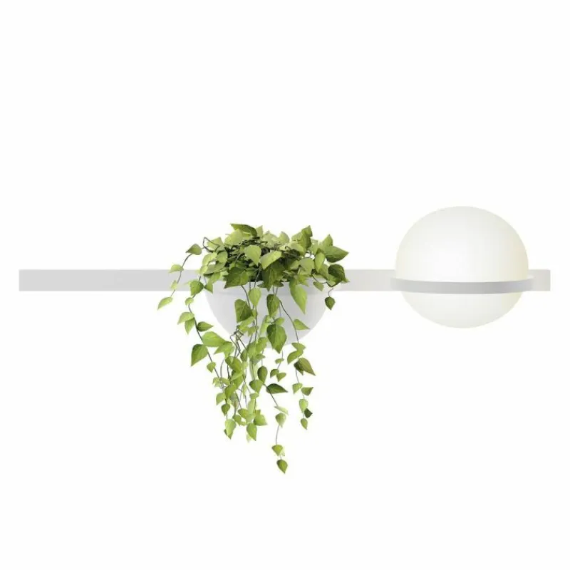Best Palma Wandlamp Wandlampen