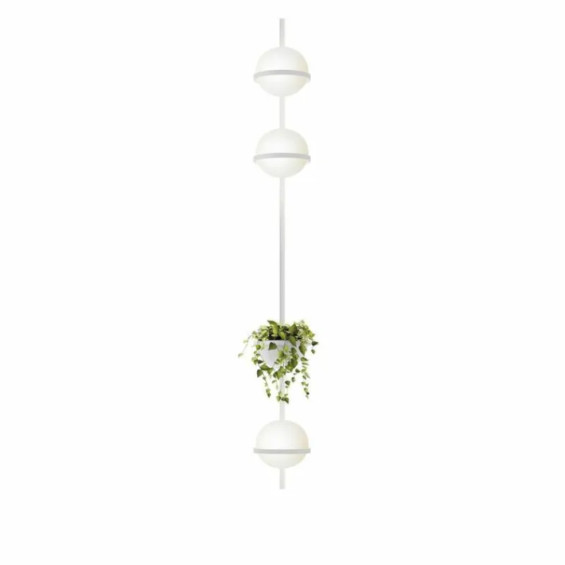 Best Palma Wandlamp Wandlampen