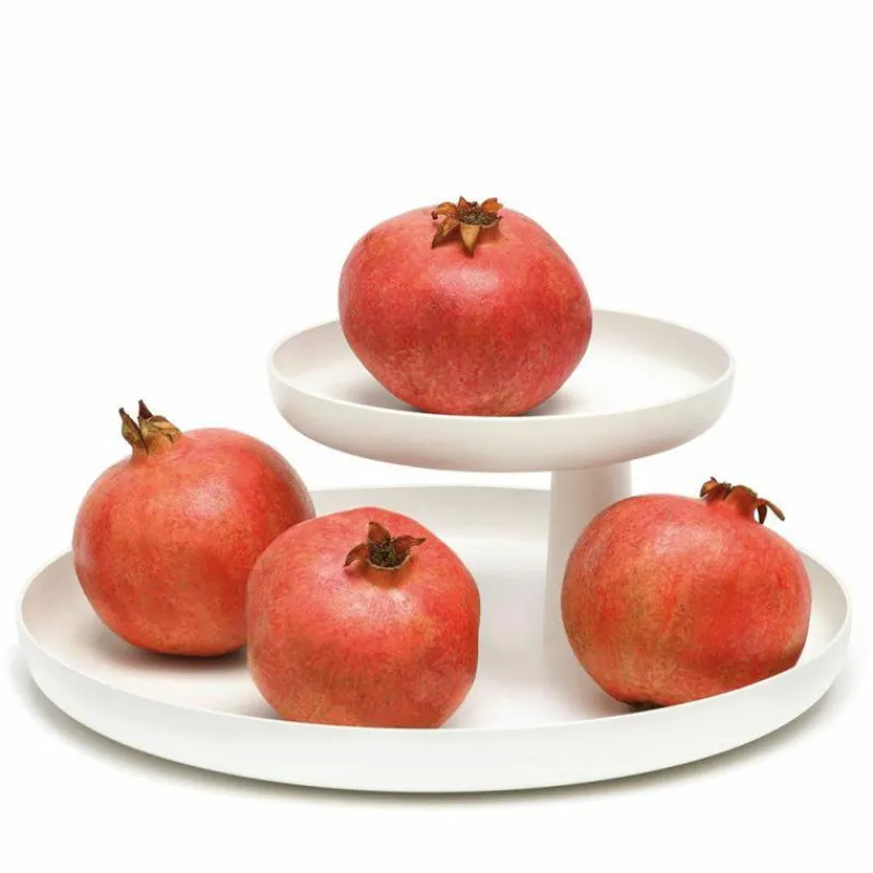 Best Rotary Tray Opberger Organizers
