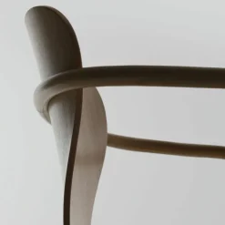 New S 220 F Stoel Met Armleuning Eetkamerstoelen