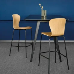 Clearance S 220 H Barkruk Barkrukken
