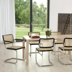 New S64 Armstoel Eetkamerstoelen