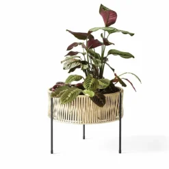 Discount Umanoff Plantenbak Plantenbakken