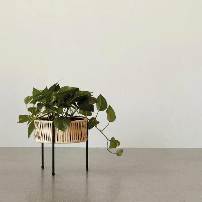 Discount Umanoff Plantenbak Plantenbakken