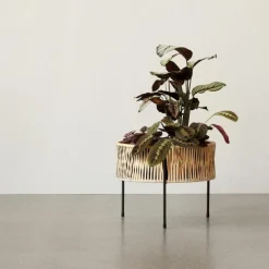 Discount Umanoff Plantenbak Plantenbakken