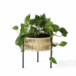 Discount Umanoff Plantenbak Plantenbakken