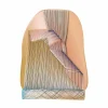 Clearance Un-Roll Vloerkleed Vloerkleden