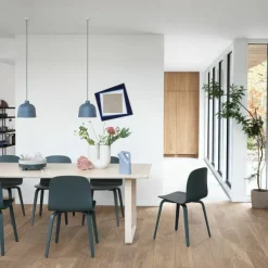 Best Visu Stoel Eetkamerstoelen