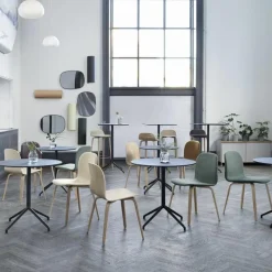 Best Visu Stoel Eetkamerstoelen