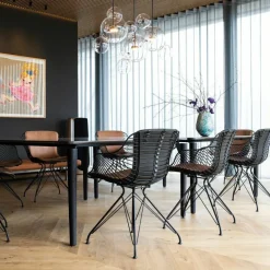 Clearance Wire Eetkamerstoel Eetkamerstoelen